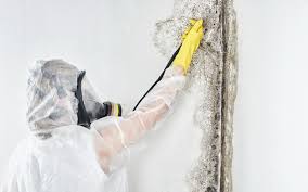 Best Mold Prevention Services  in Marlette, MI